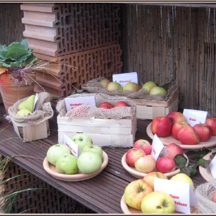 Obstsortenbestimmung