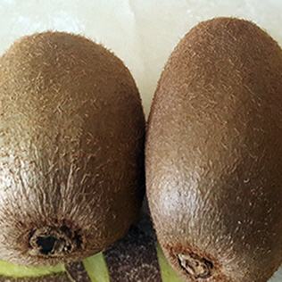 Kiwi Jenny